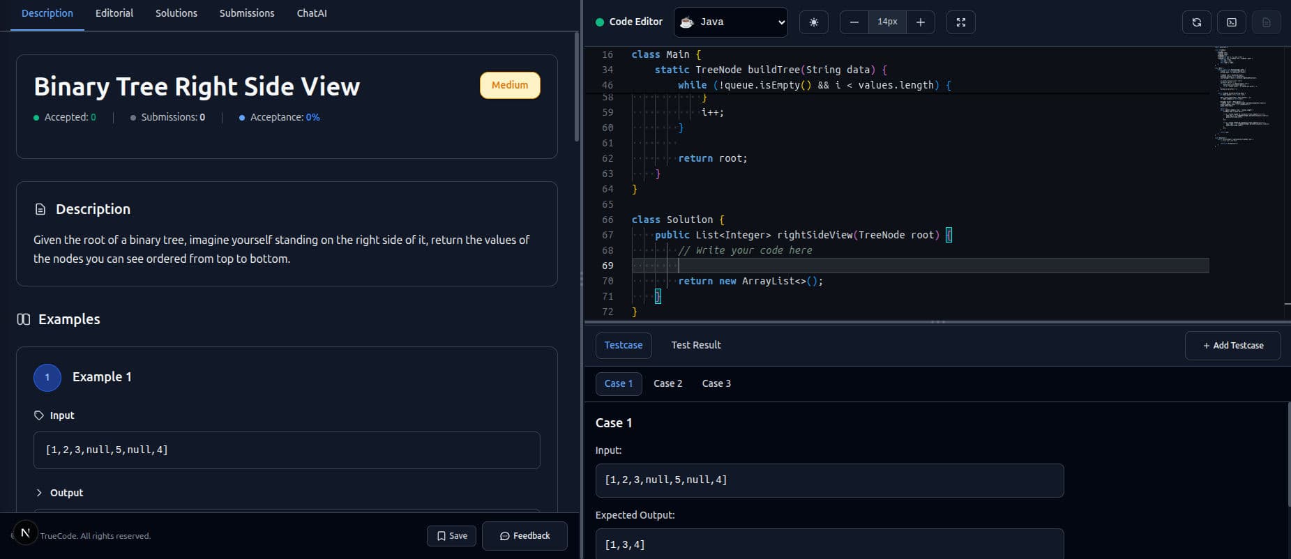 TrueCode Problem Solving Interface with editor and features